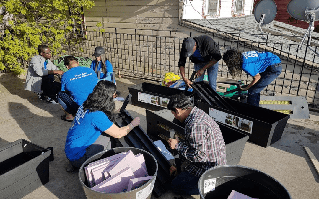 ROYAL BANK VOLUNTEERS